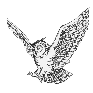 ���������, ��������� 