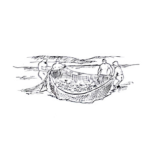 <sup>1 [] </sup>