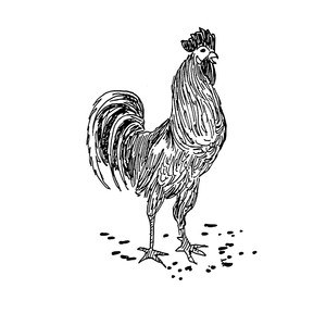 �� ������ ����� ���� ������ ����, ���� ����������� ������ ������ ���������� ��������� [��]