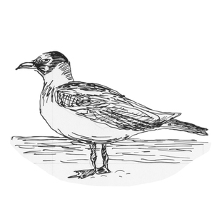 <sup>2</sup> [] 
