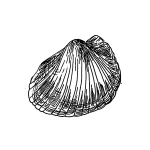  []<sup>4</sup>