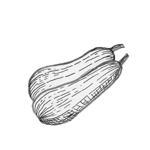  <sup>2</sup> []