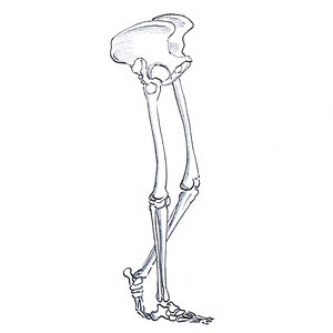 ��� ��� �� ������, ������ ���� ��� ��������� [��]