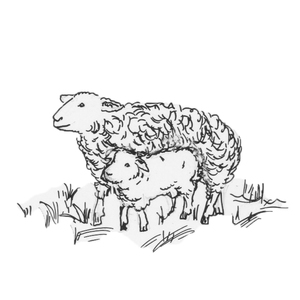  <sup>6</sup>[]