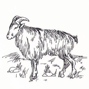 ��� <sup>1</sup>[��]