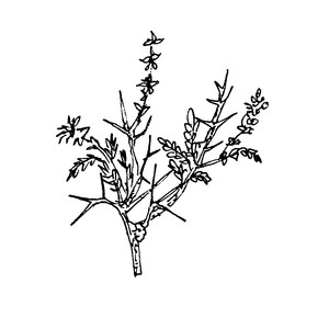 <sup>2</sup>,   [] 