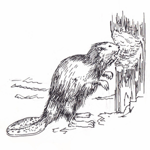 <sup>4 </sup>