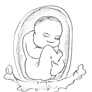 ����� [��]