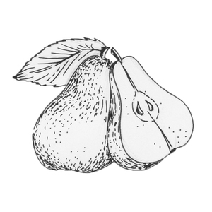 ,  []
