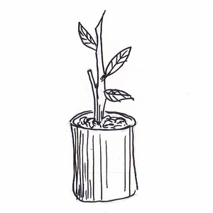 <sup>1 </sup>