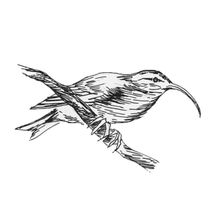 ������<sup>2  [��] </sup>
