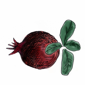 <sup>1</sup>,  