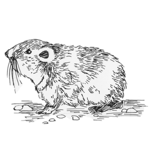   [] <sup>2</sup>