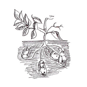 ��������� ������� ������ [��]