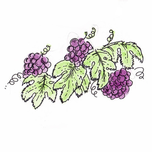  <sup>2</sup>