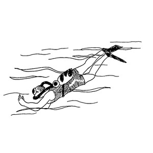  [] <sup>1</sup>