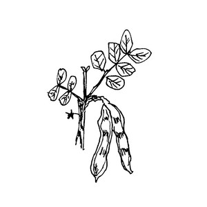  [] <sup>1</sup>