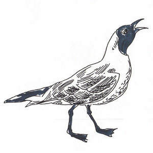 ������<sup>3 </sup>