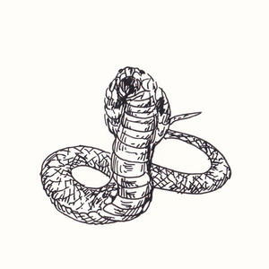 �������� [��]