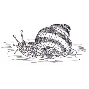,  <sup>1</sup>