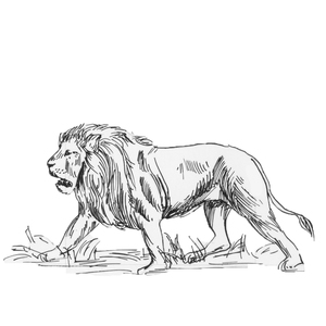  <sup>1</sup>[] 