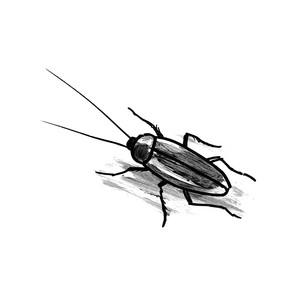 ' []