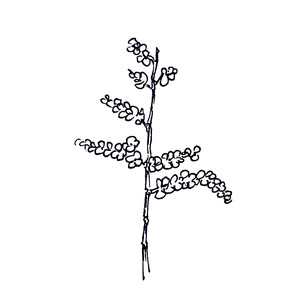  <sup>1</sup>