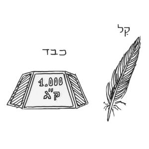 <sup>1</sup>
