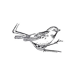 ������ ��������� - ������ ������ [��]