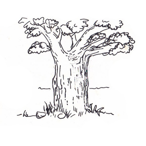   []<sup>1</sup>