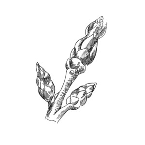 ������ [��]