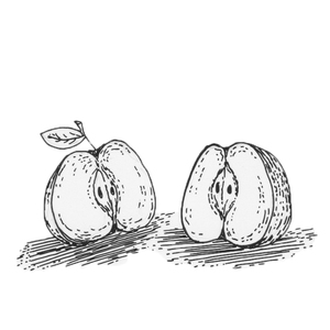 ,  []