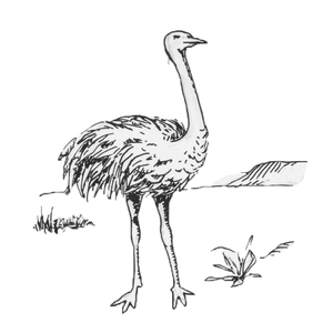 ������ ������� ������� [��]