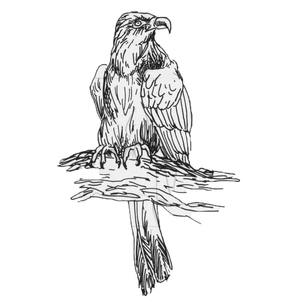  <sup>1</sup>[]