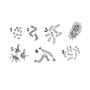 �������, �������� [��]