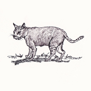<sup>1</sup> []