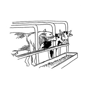 �����<sup>1, ������� </sup>