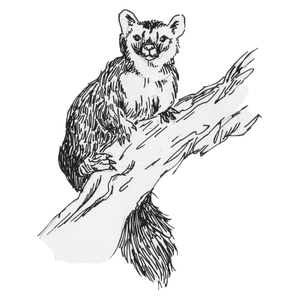 ������ [��]