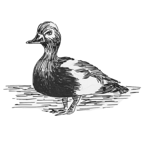 ������ [��]
