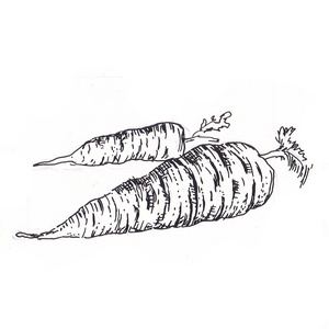 <sup>1 [] </sup> <sup/sup>