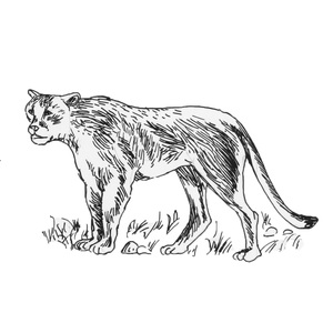 ��������<sup>2 [��] </sup>