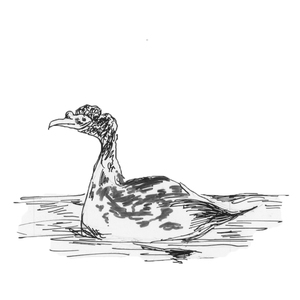  [] <sup>1</sup>