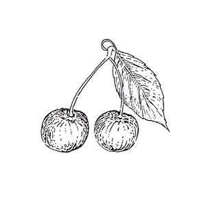 ������� ������,  ������������� ��������������� [��]