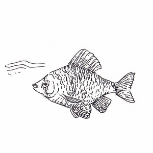 <sup>2 [] </sup>
