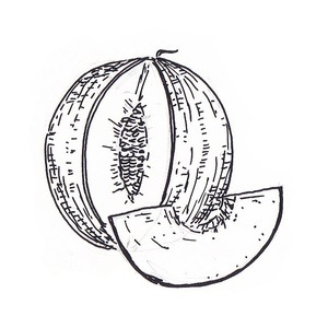 ������ [��] 