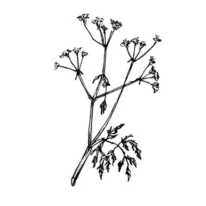 �����  [��]<sup>3</sup>