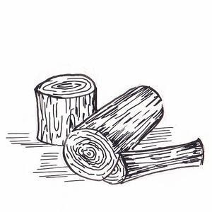 ����� ���