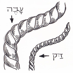  [] <sup>1</sup>