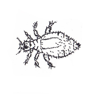 �����<sup>2, ������� [��] </sup>