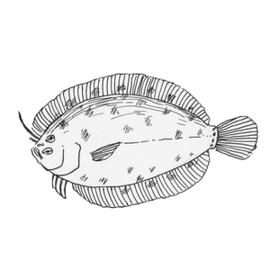 <sup>2 [] </sup>
